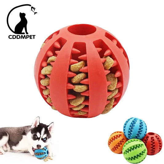 Interactive Dog Ball Toy for Small Dogs - Elastic Rubber Chew Toy, Tooth Cleaning, Food Dispenser