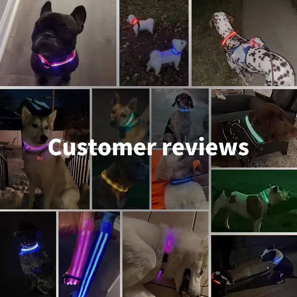 LED Glowing Dog Collar Adjustable Flashing