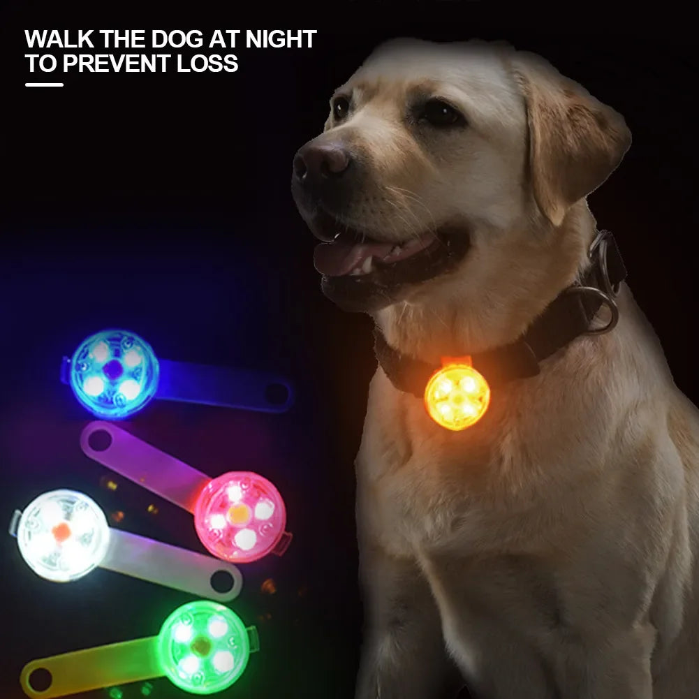 LED Light Pendant Waterproof For Pets