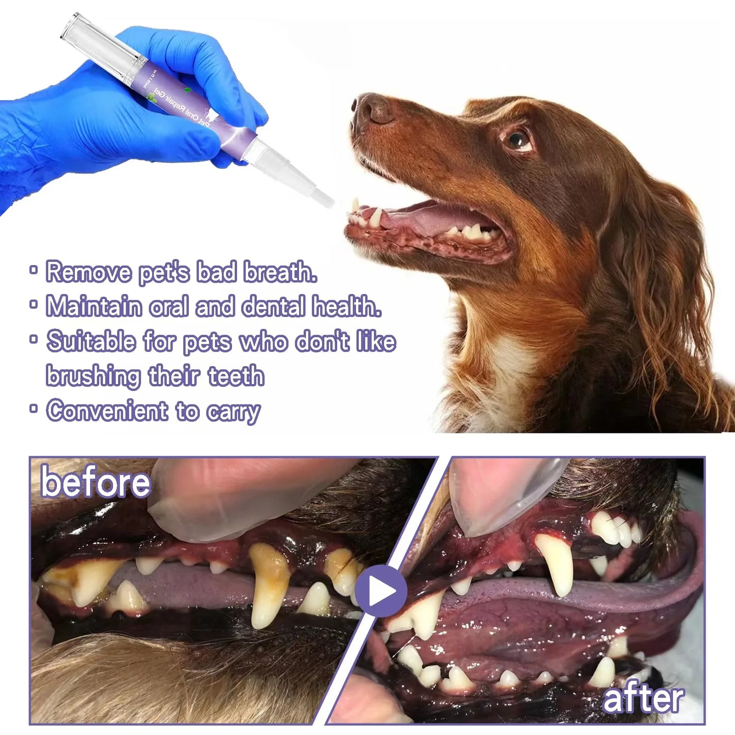 Pet Teeth Cleaning Tooth Whitening Pen