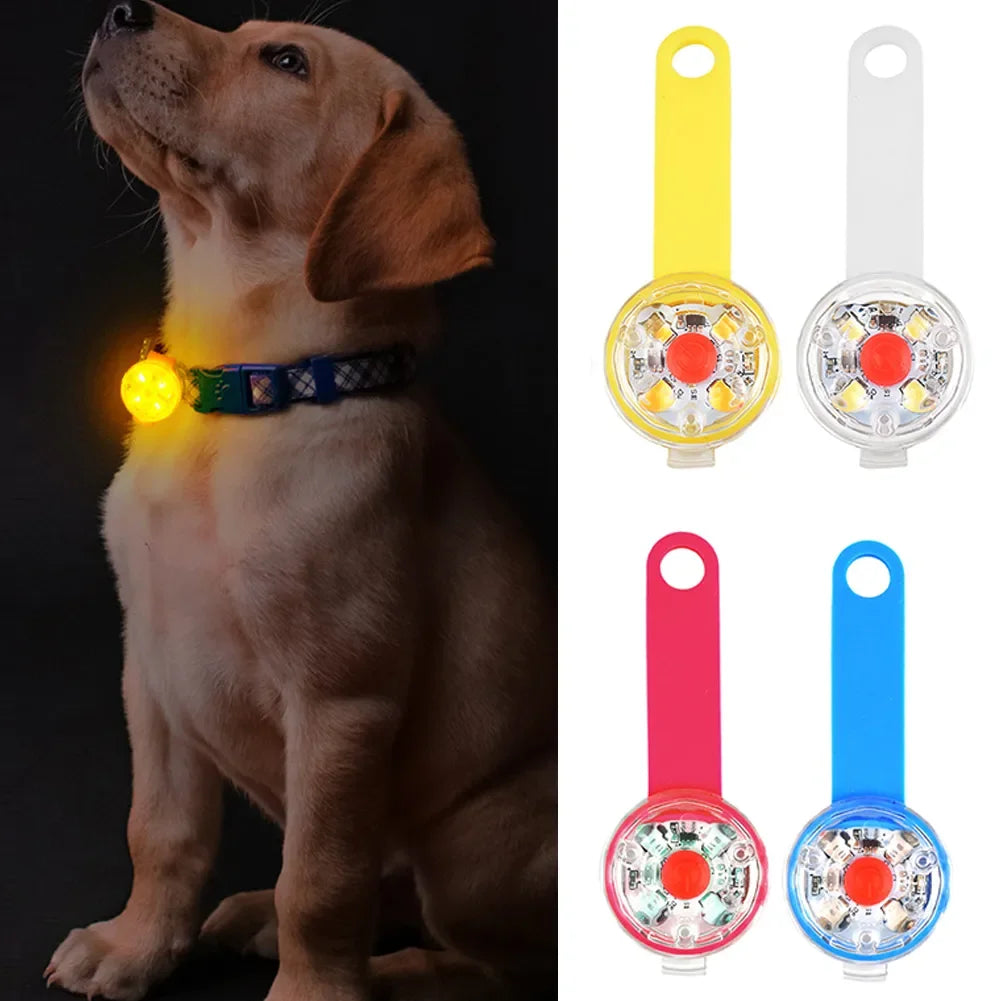 LED Light Pendant Waterproof For Pets