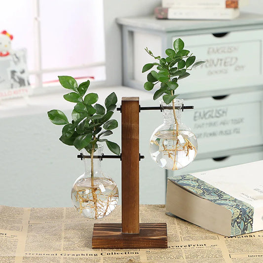 Vintage Terrarium Hydroponic Plant Vases