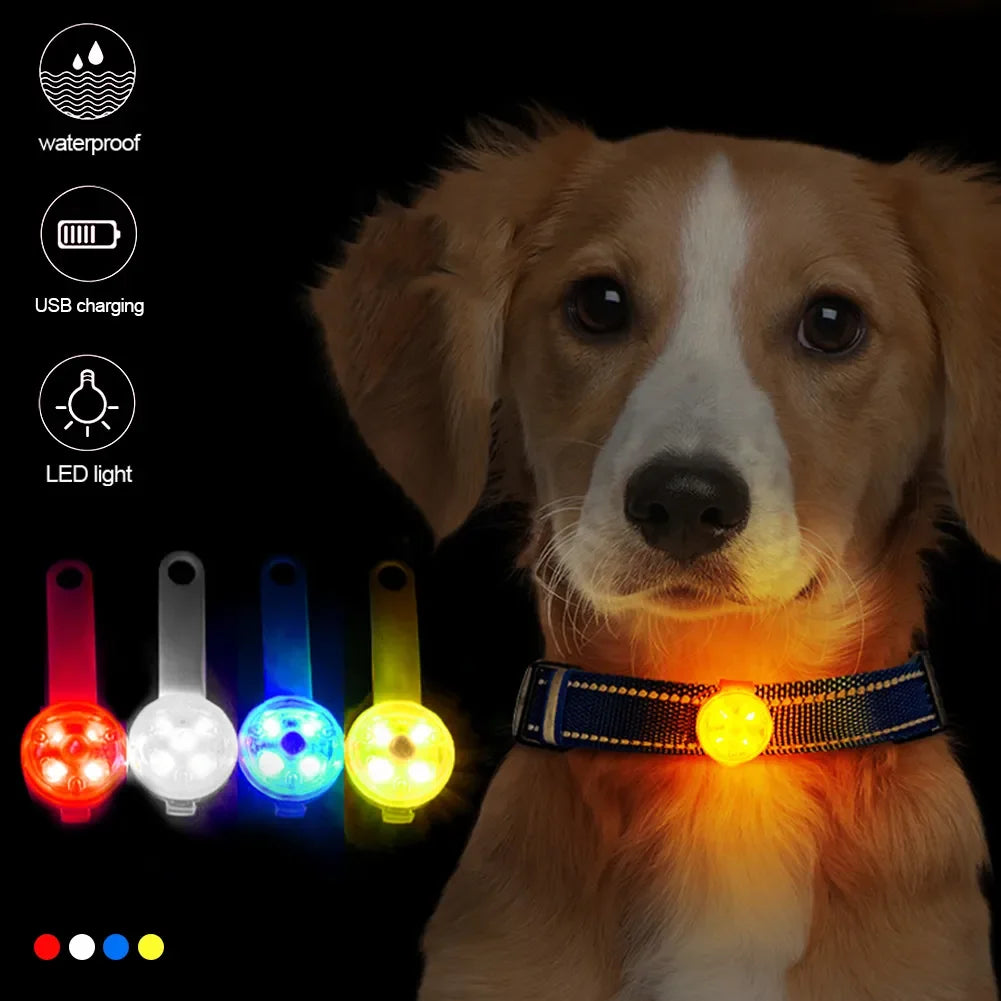 LED Light Pendant Waterproof For Pets