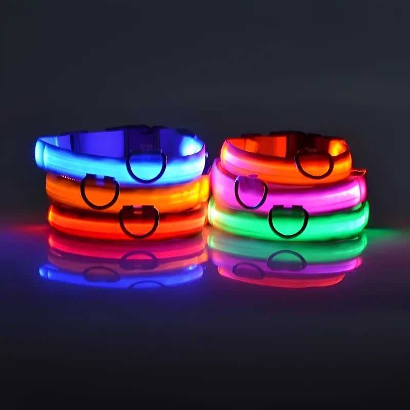 Dog Collar LED Night Leash