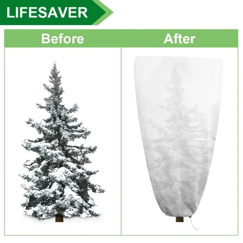 Antifreeze Plant Cover Warm Cover Tree