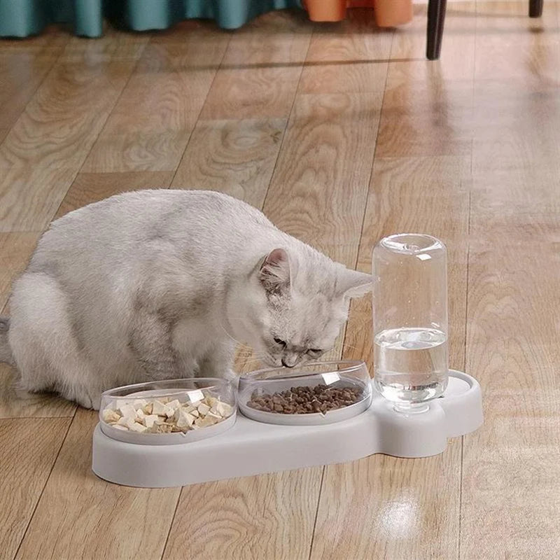 Cat Bowl Pet Feeder with Large Diameter and Integrated Drinking Fountain