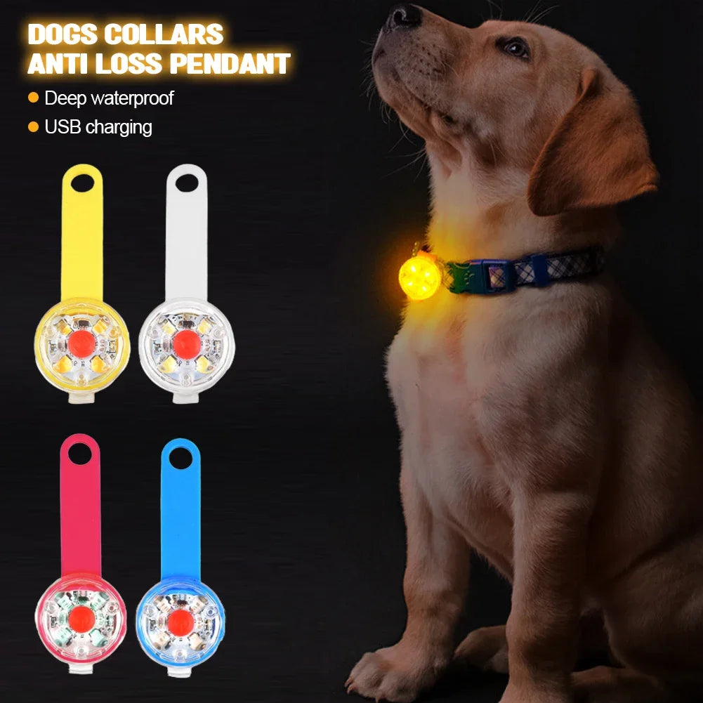 LED Light Pendant Waterproof For Pets