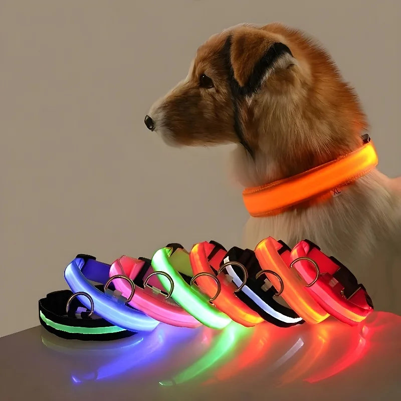 Dog Collar LED Night Leash