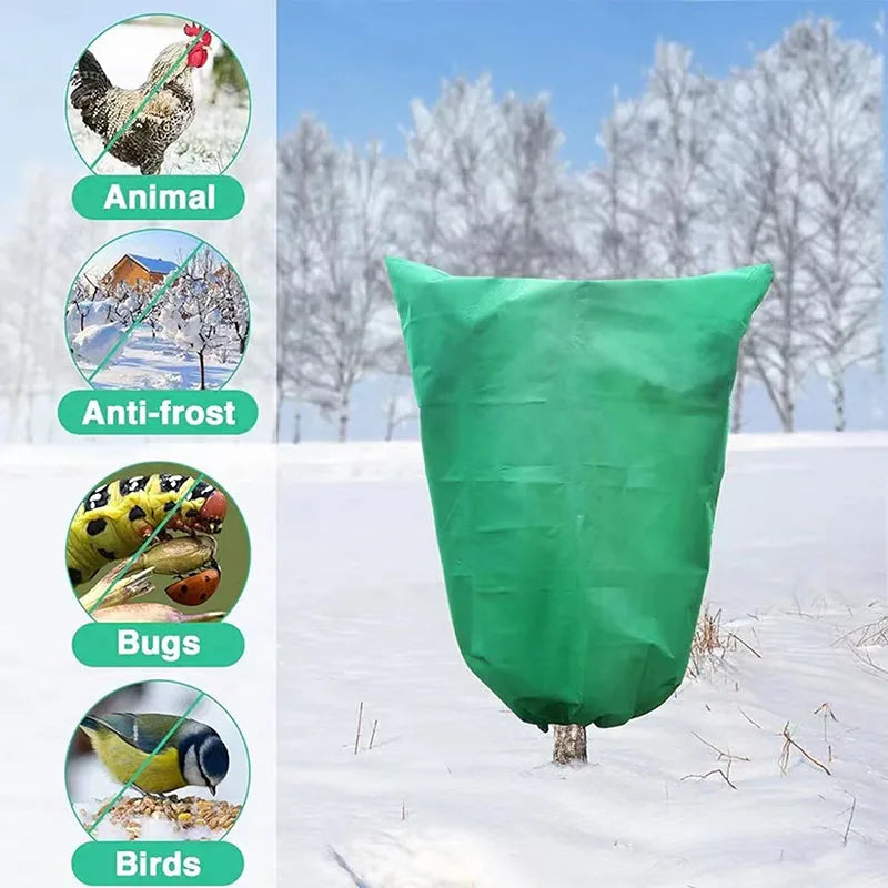 Antifreeze Plant Cover Warm Cover Tree