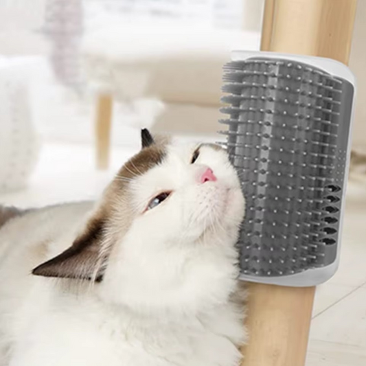 Cat Corner Brush Massage