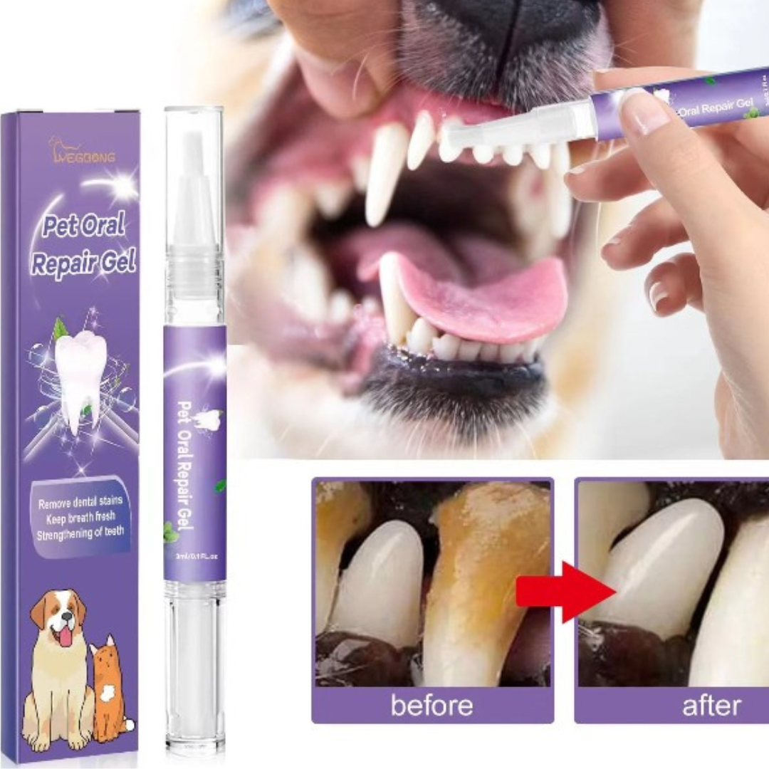 Pet Teeth Cleaning Tooth Whitening Pen